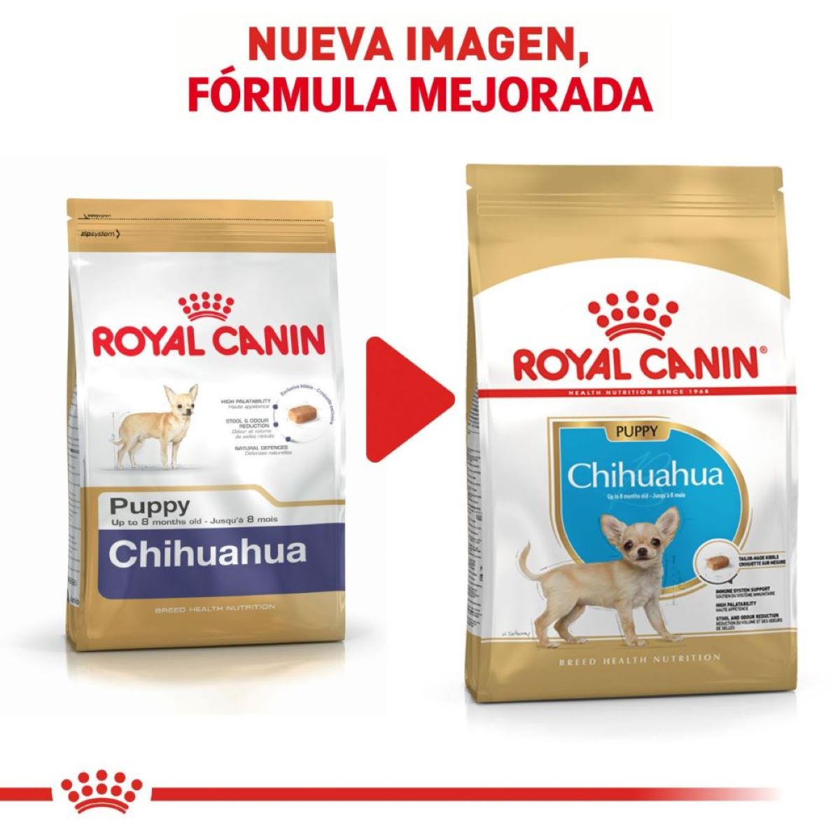 Royal Canin Chihuahua Puppy 1.1 Kg - Alimento para Cachorro Royal Canin Chihuahua Puppy 1.1 Kg - Alimento para Cachorro